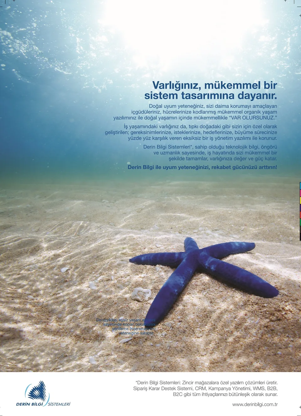 Deniz Yıldızı